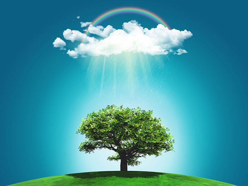 Lee más sobre el artículo ¿Qué es el Árbol de la Vida y qué significa?